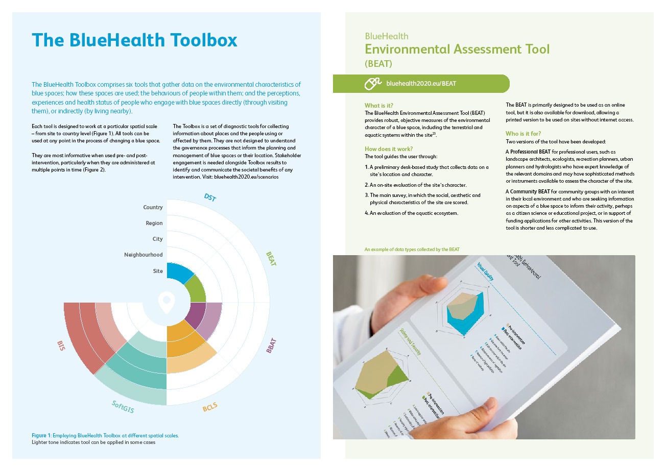 Example pages from the BlueHealth toolbox document