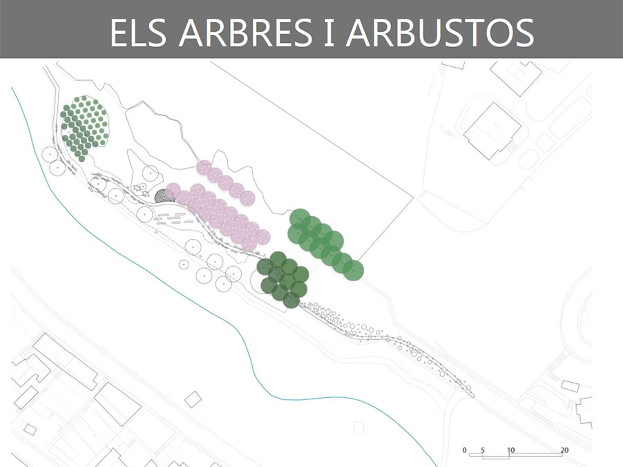 An architectural plan showing the distribution of plants along the Can Moritz site