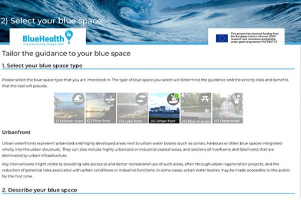 Find out about the BlueHealth Decision Support Tool
