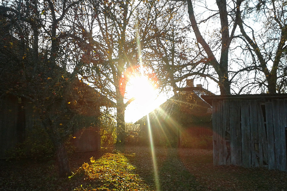 the sun shines through trees and a farm house in autumn