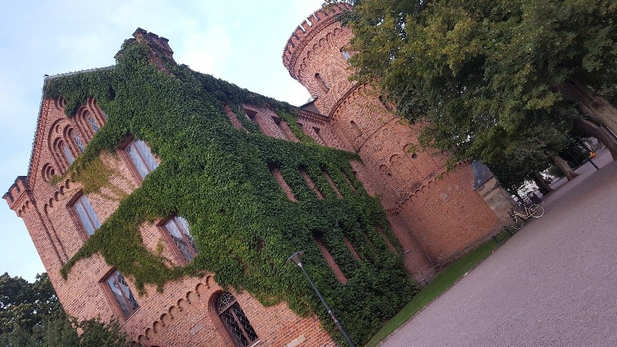 An ivy covered building in Lund