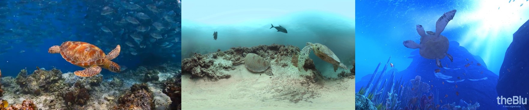 Image of a virtual blue environment as used in BlueHealth research (photo credit The Blu)